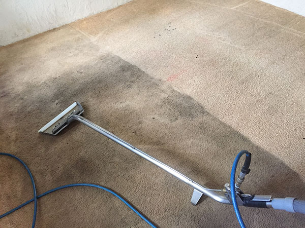 Starting a Carpet and Upholstery Cleaning Business